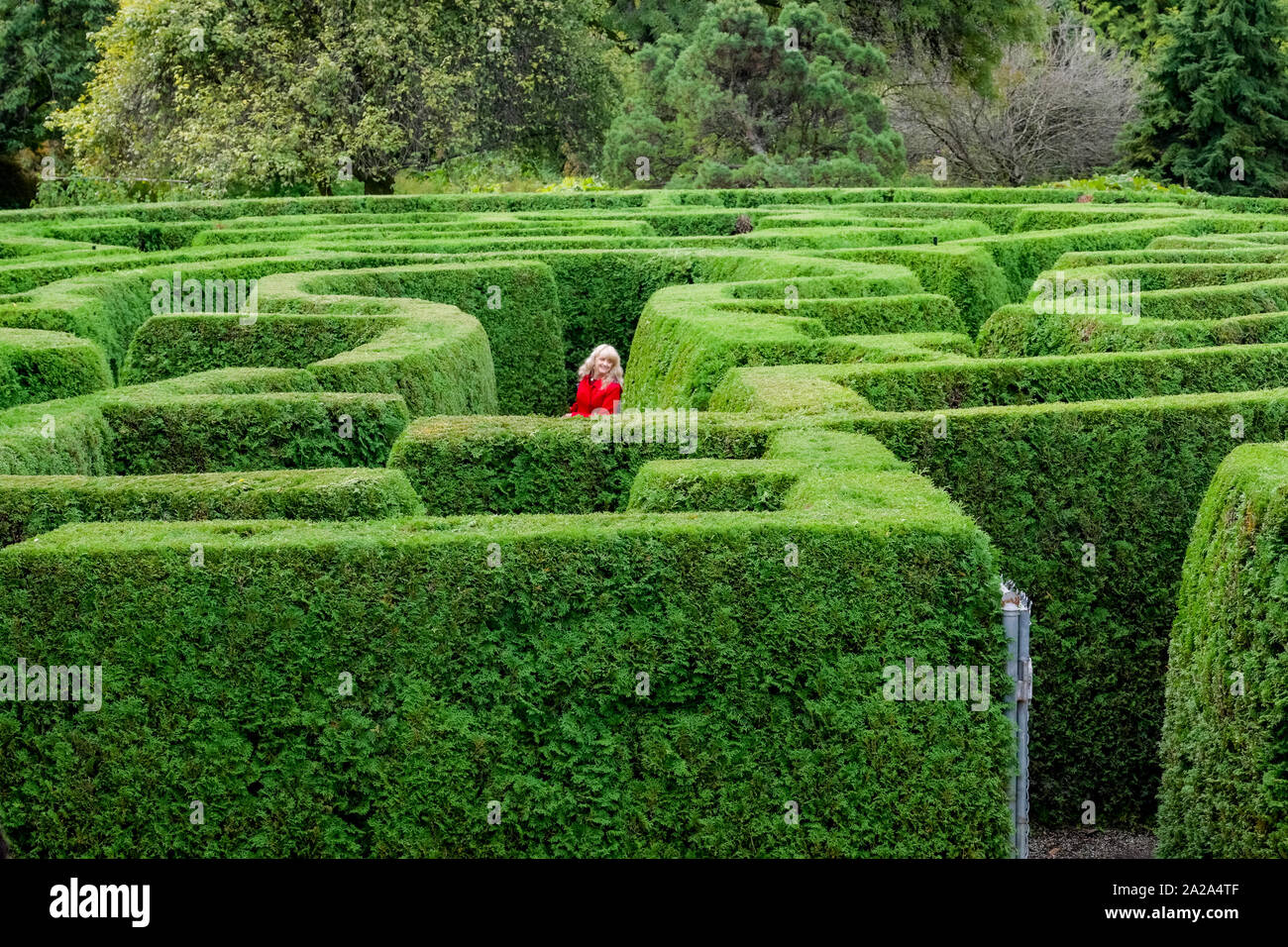 Femme en labyrinthe, VanDusen Botanical Garden, Vancouver, Colombie-Britannique, Canada. Banque D'Images