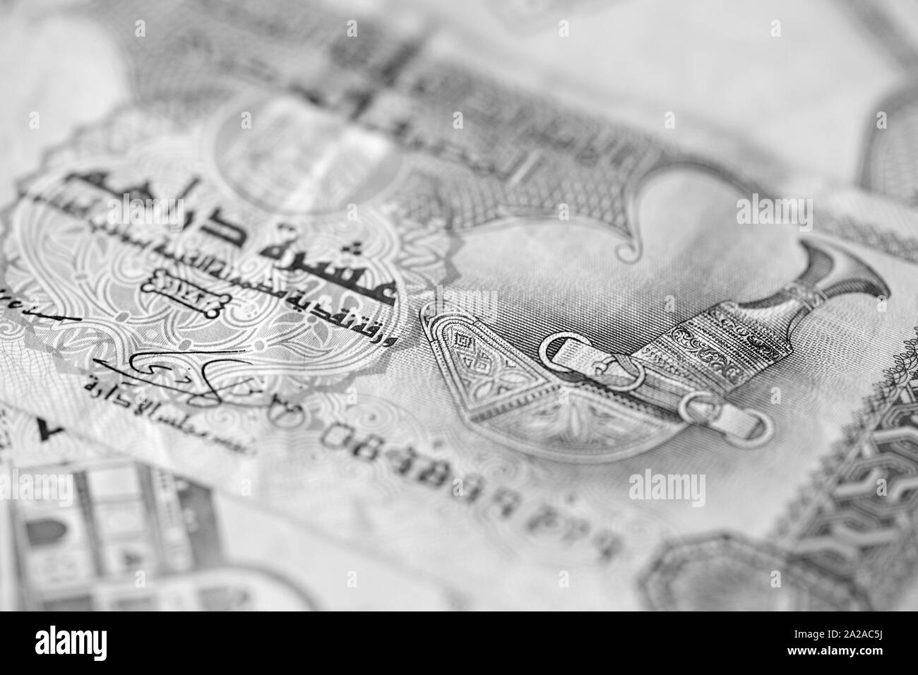 Dirhams des Émirats arabes unis close up. Contexte de l'argent monochrome Banque D'Images