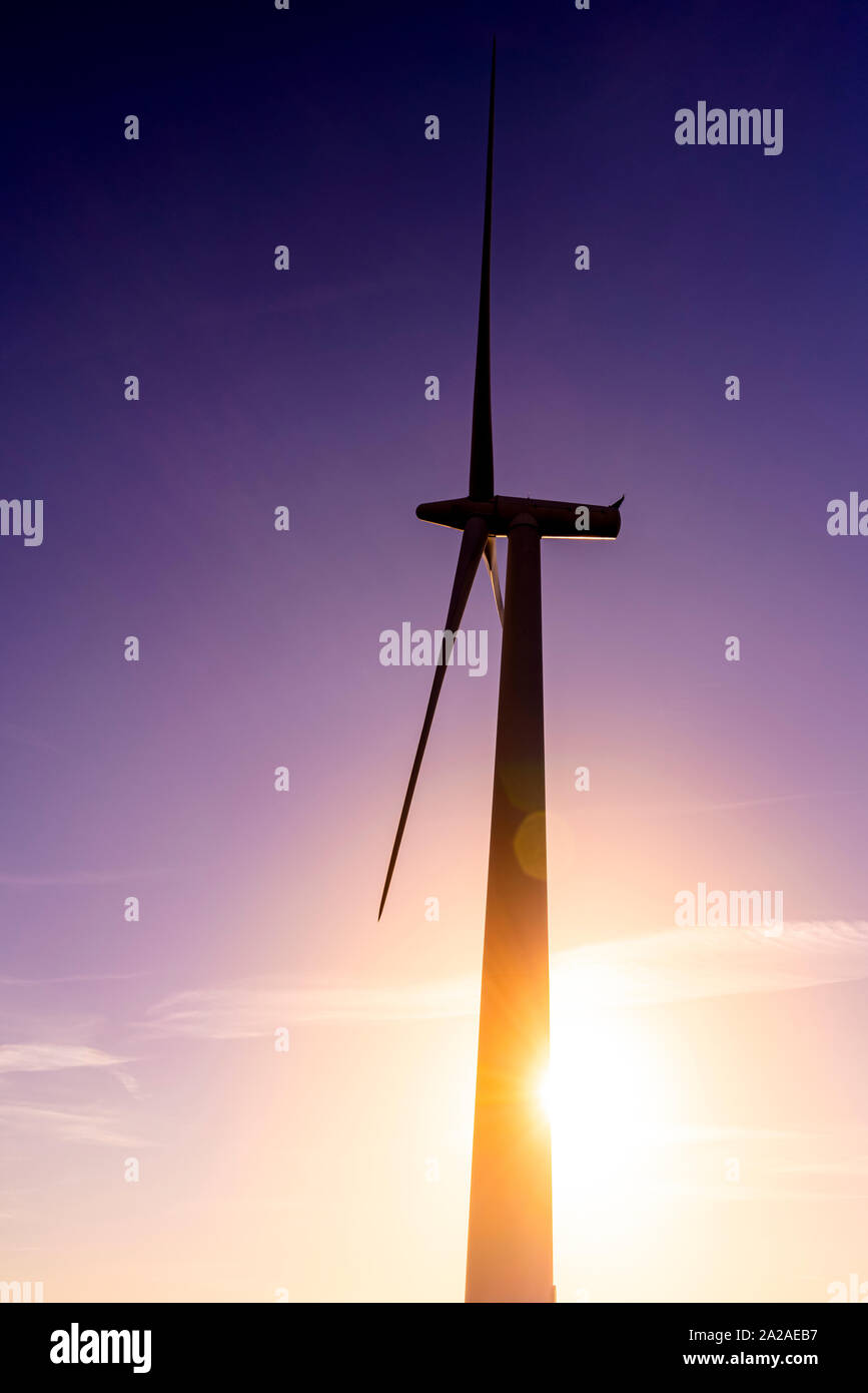 Éoliennes commerciales au lever du soleil par temps clair Banque D'Images