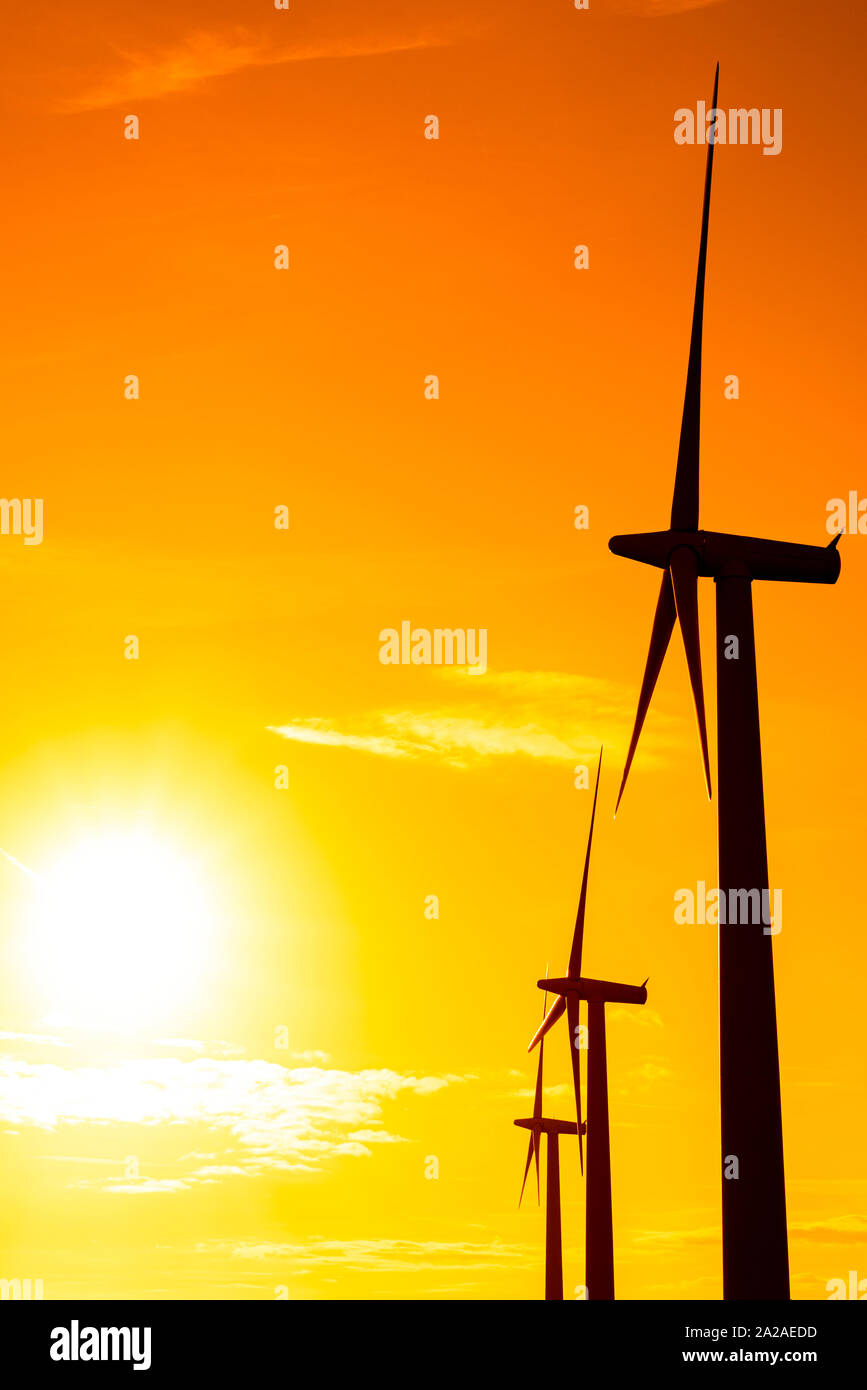 Éoliennes commerciales au lever du soleil par temps clair Banque D'Images