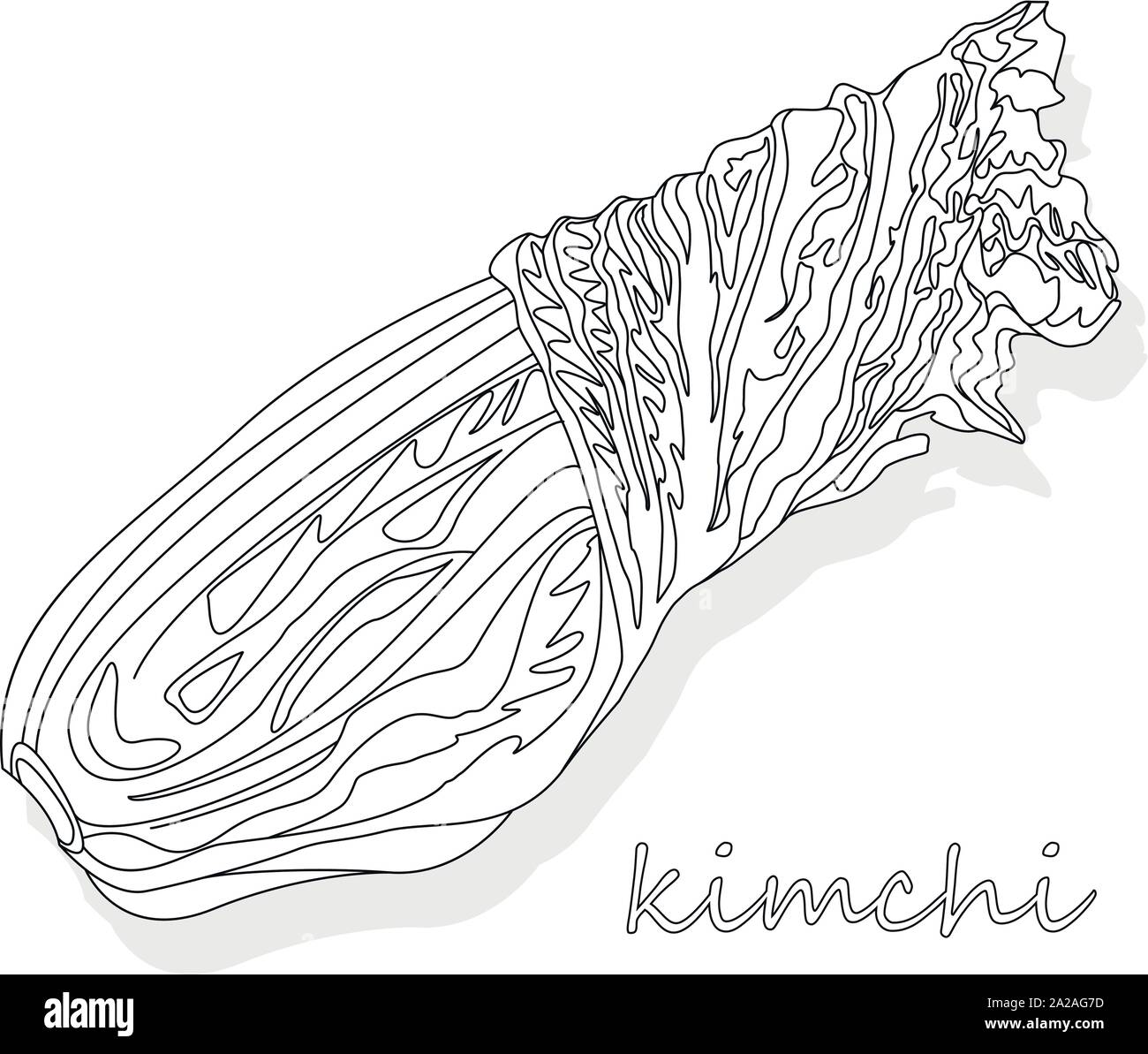 Le kimchi, la nourriture coréenne traditionnelle. L'illustration en blanc. Illustration de Vecteur