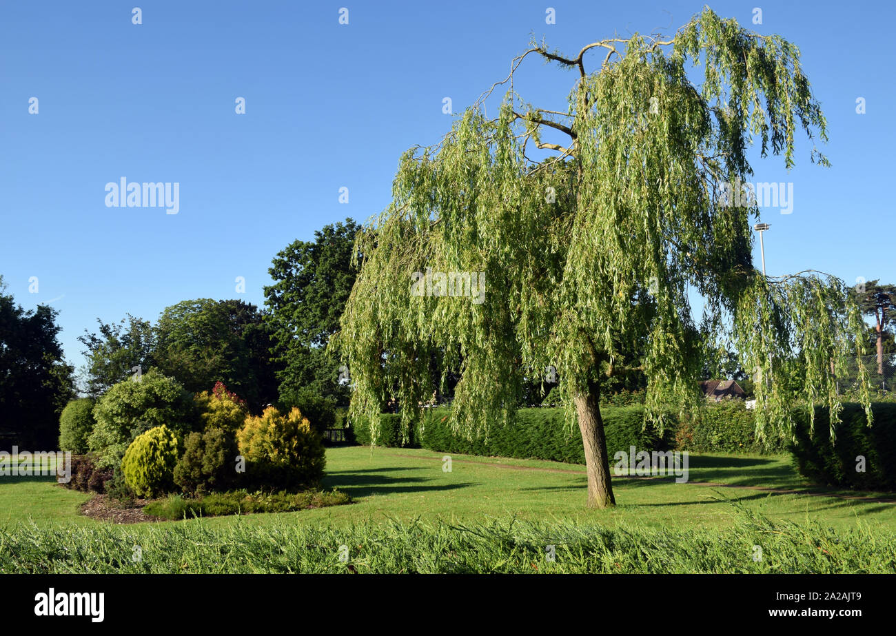Horley Recreation Ground Banque D'Images