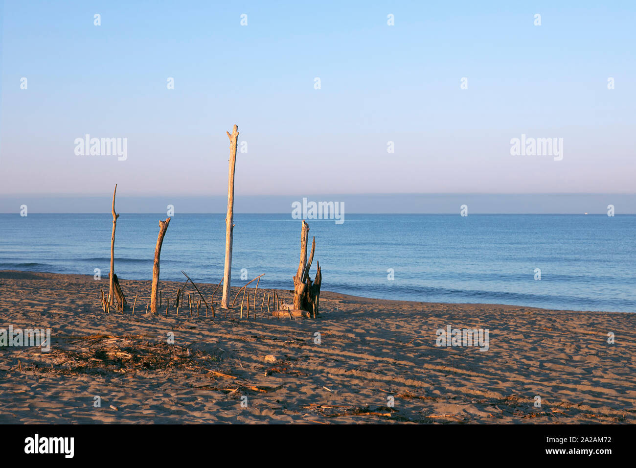 Une sculpture de bois sur la plage, des brindilles sur la plage de la construction en bois, plantés dans le sable. Land Art, sur la côte de la mer, paysage marin au matin Banque D'Images
