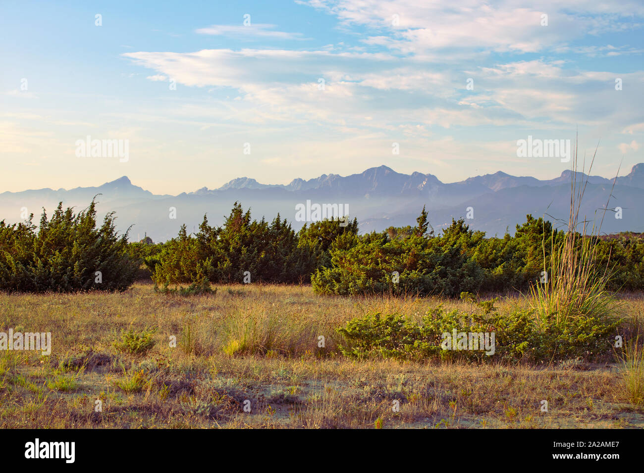 Paysage pittoresque, de montagnes en arrière-plan. Migliarino San Rossore Parc National. Apennins visible dans la distance, la végétation côtière avec des arbustes Banque D'Images