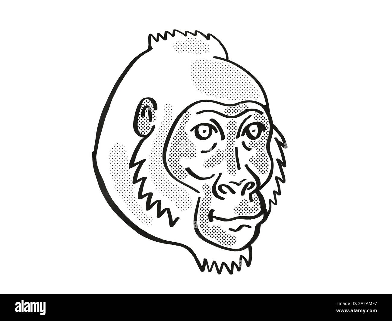 Retro cartoon style ligne mono dessin de tête d'un gorille de Cross River Gorilla gorilla diehli, ou une espèce en voie d'espèces isolées sur des bac blanc Banque D'Images