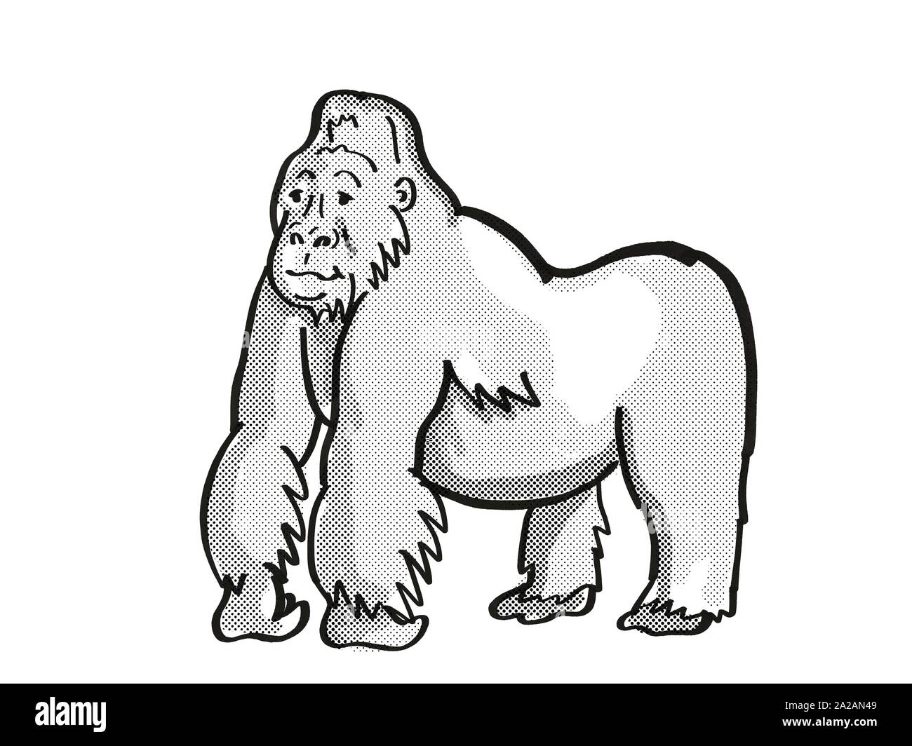 Retro cartoon style ligne mono dessin d'un gorille de montagne retour d'argent, une espèce d'espèces isolées sur fond blanc en noir et Banque D'Images