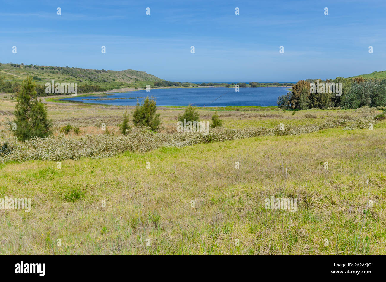 Killalea Lagoon, Killalea Réserver New South Wales Australie Banque D'Images