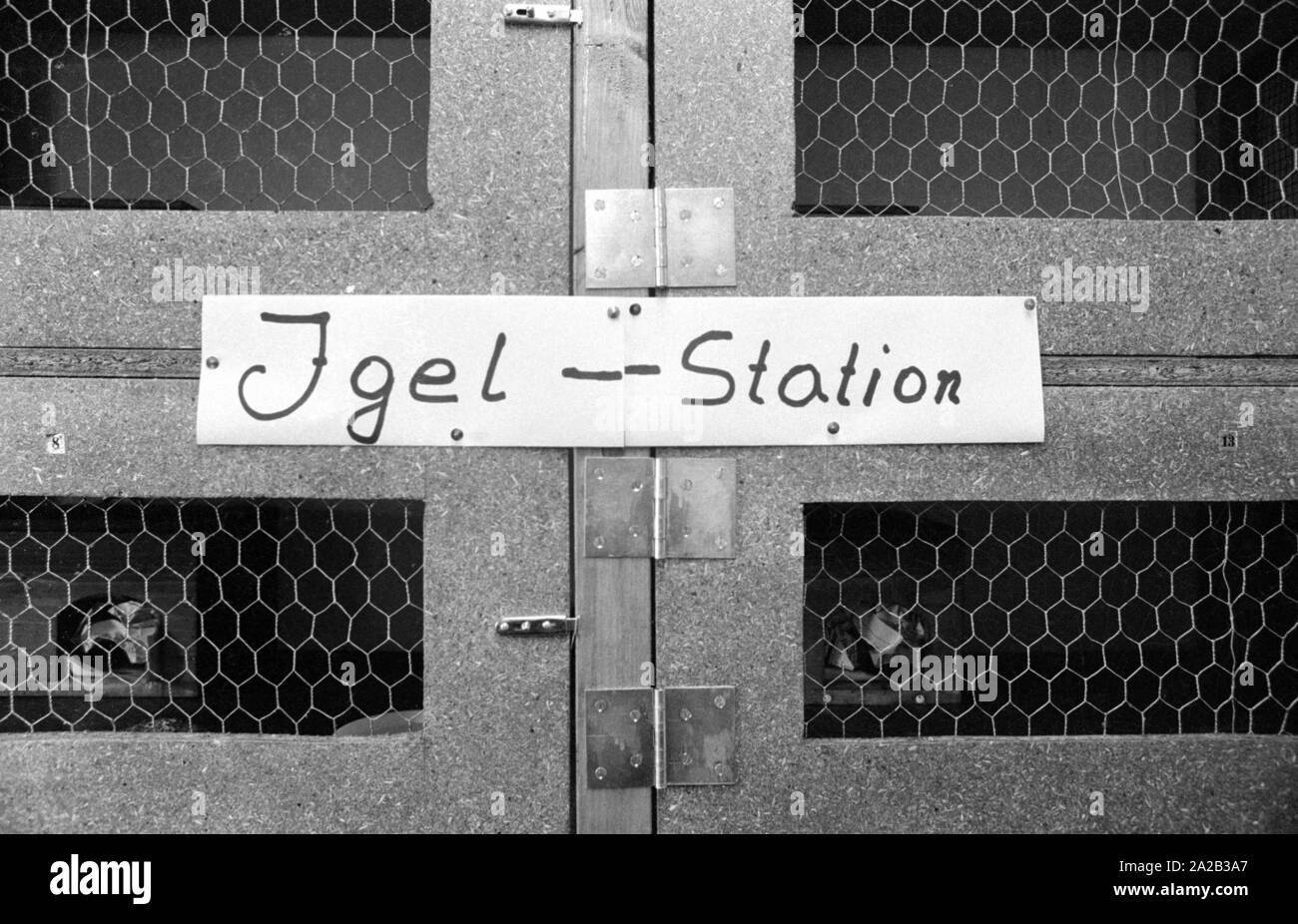 La photo montre certains des petites écuries dans lesquelles les hérissons sont l'hivernage après leur arrivée dans la station. Banque D'Images