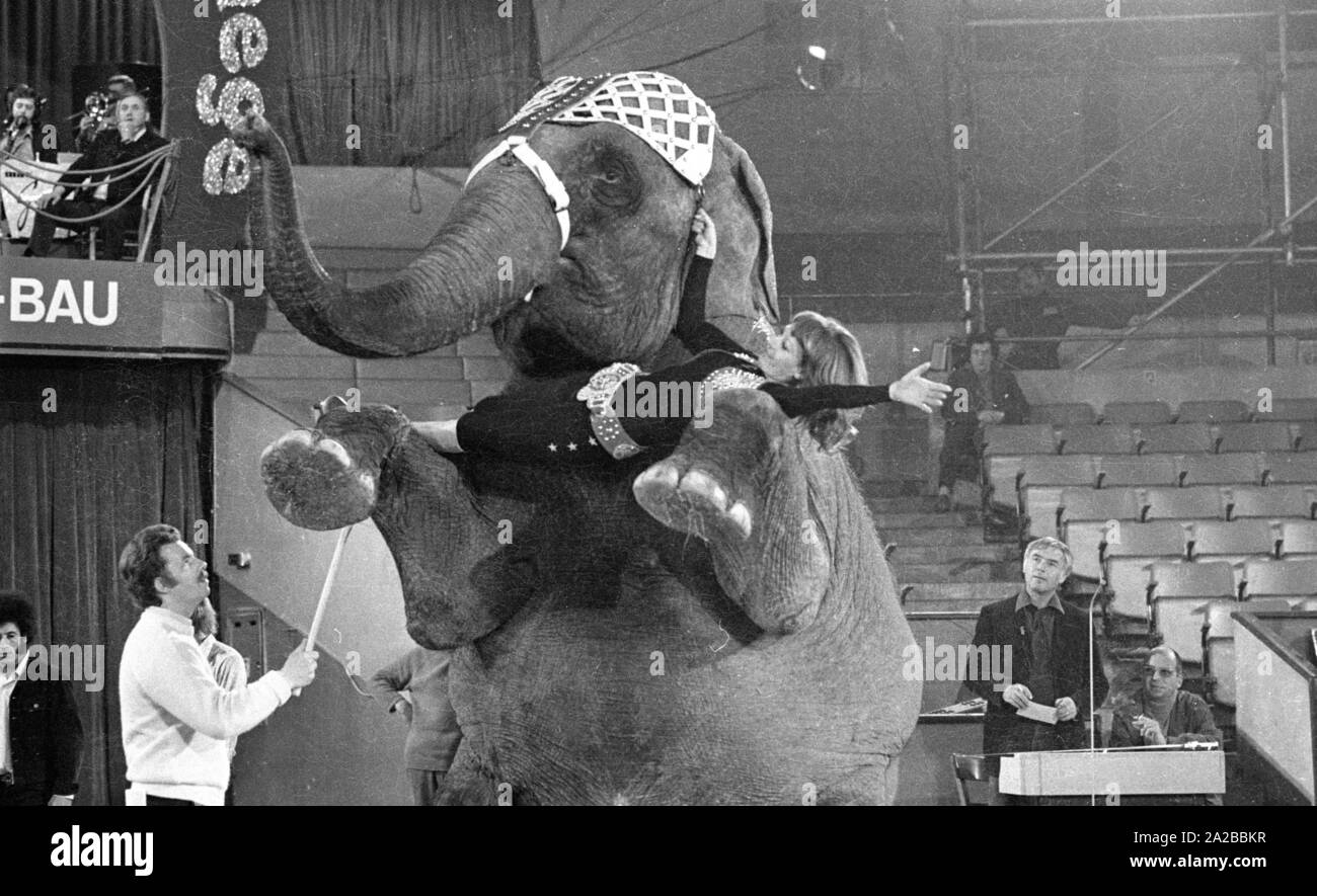 Le présentateur allemand Petra Schürmann lors d'une performance avec un éléphant sur la série TV 'Stars dans le manège' en 1971. Banque D'Images