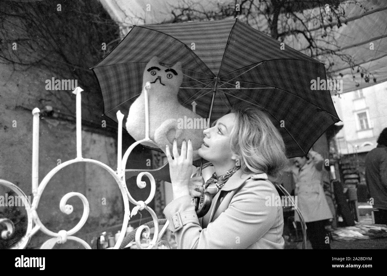 Photo Story avec l'actrice autrichienne Maria Perschy à Munich. Banque D'Images