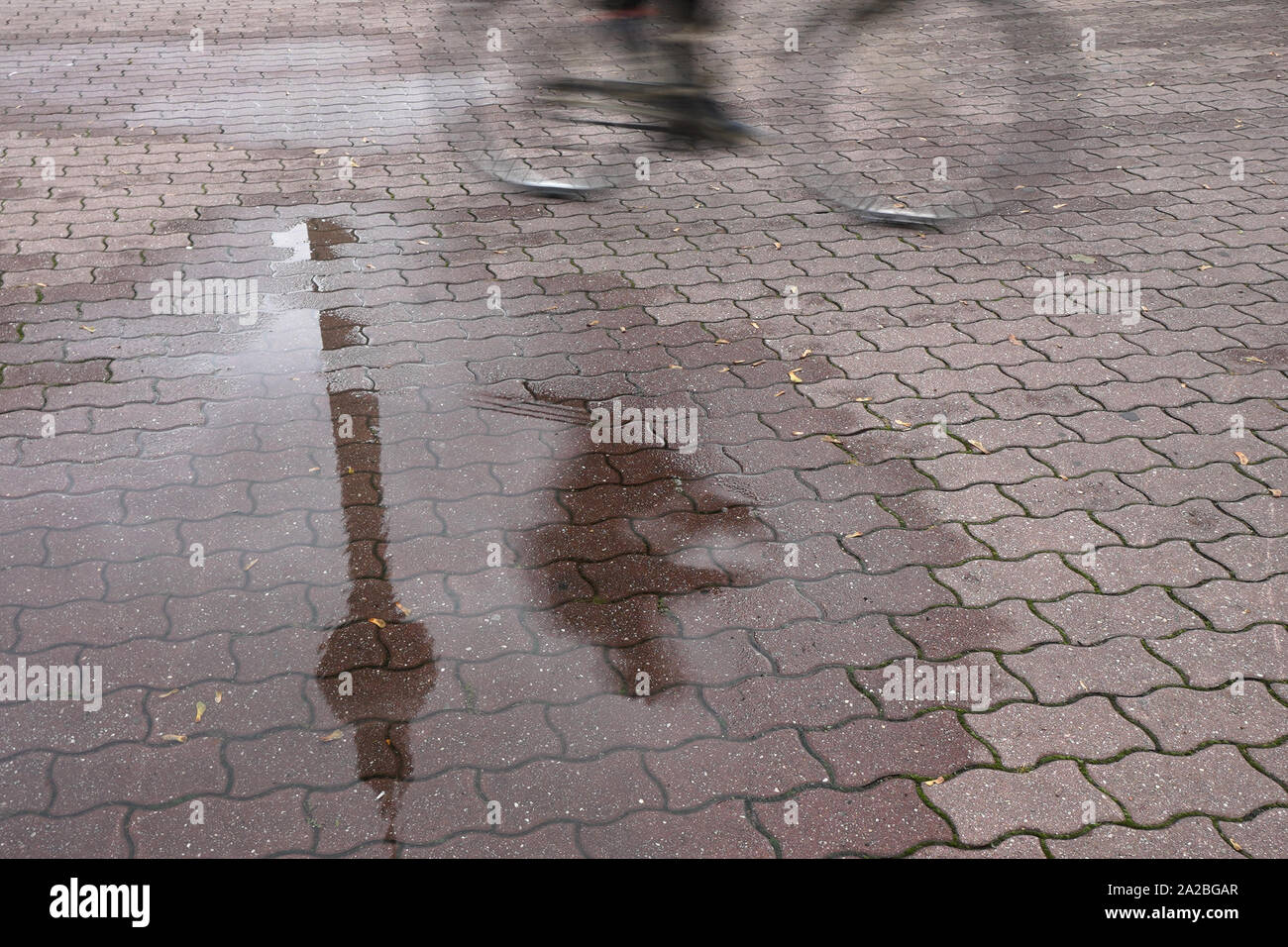 Berlin, Allemagne. 09Th Oct, 2019. La tour de télévision et les piétons se reflètent dans une flaque d'eau de pluie. Credit : Jörg Carstensen/dpa/Alamy Live News Banque D'Images
