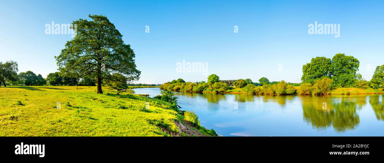 Landschaft im Sommer mit Fluss, Wiese und Baum Banque D'Images