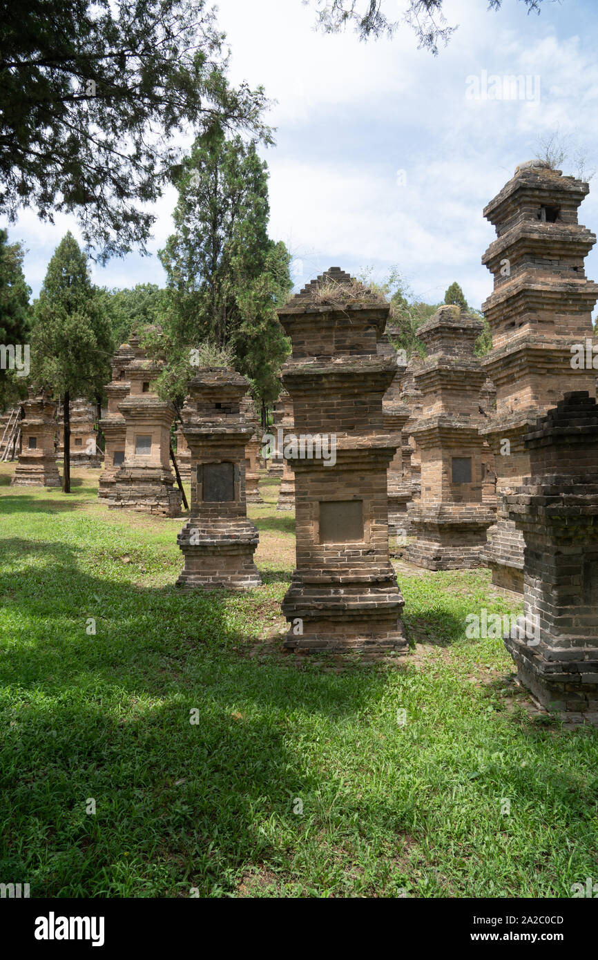 Forêt de la pagode à Shaolin Temple, Dengfeng, province du Henan, Chine. Lieu de sépulture pour d'éminents moines du temple au cours des siècles, et le plus gros groupe o Banque D'Images