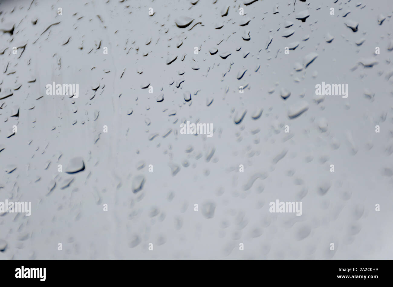 Gouttes de pluie sur la vitre. Fond gris. Profondeur de champ photo Banque D'Images