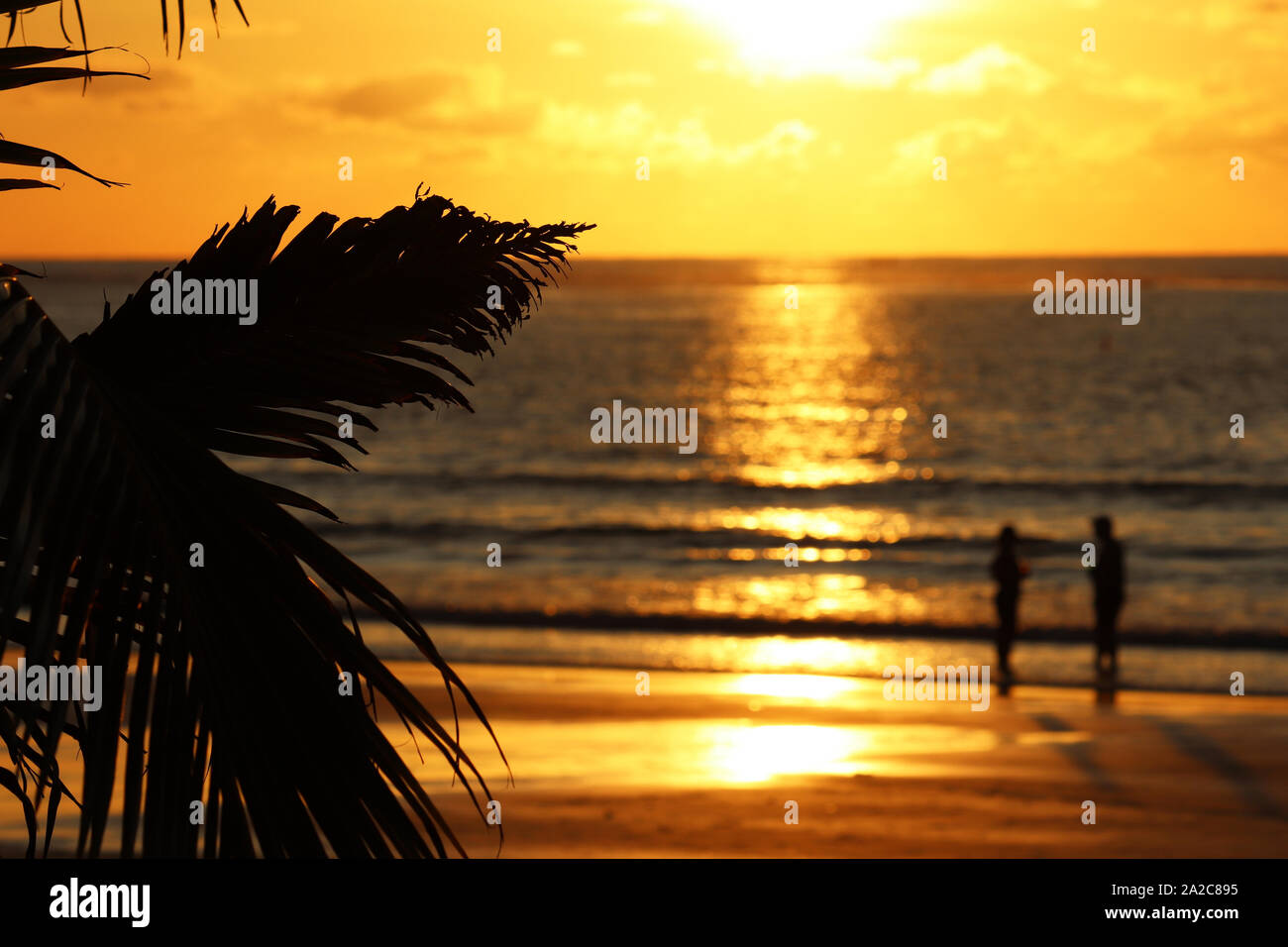Coucher du soleil sur une plage tropicale, vue à travers les feuilles de palmier à la mer et silhouette de l'amour en couple, selective focus. Ciel avec nuages orange spectaculaire Banque D'Images
