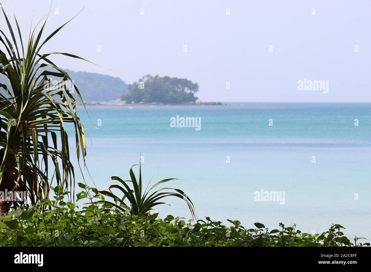 Tropical beach, vue sur la mer bleu et vert îles par le biais de feuilles de palmier, selective focus. Paradise nature background Banque D'Images