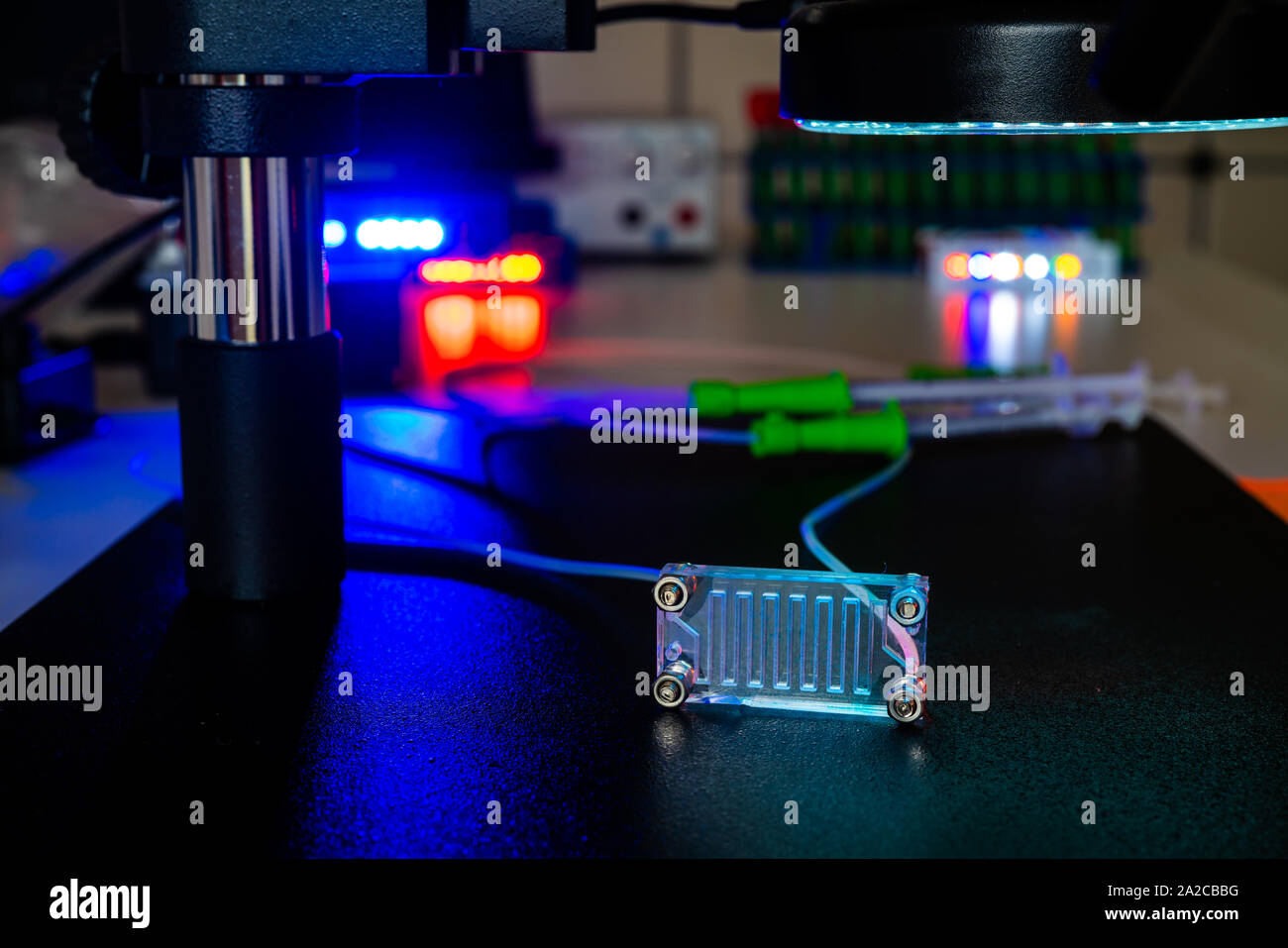 Organe-sur-puce (OOC) - dispositif microfluidique puce qui simule les organes biologiques c'est le type d'organes artificiels. Conception de prototypes de laboratoires sur puce Banque D'Images