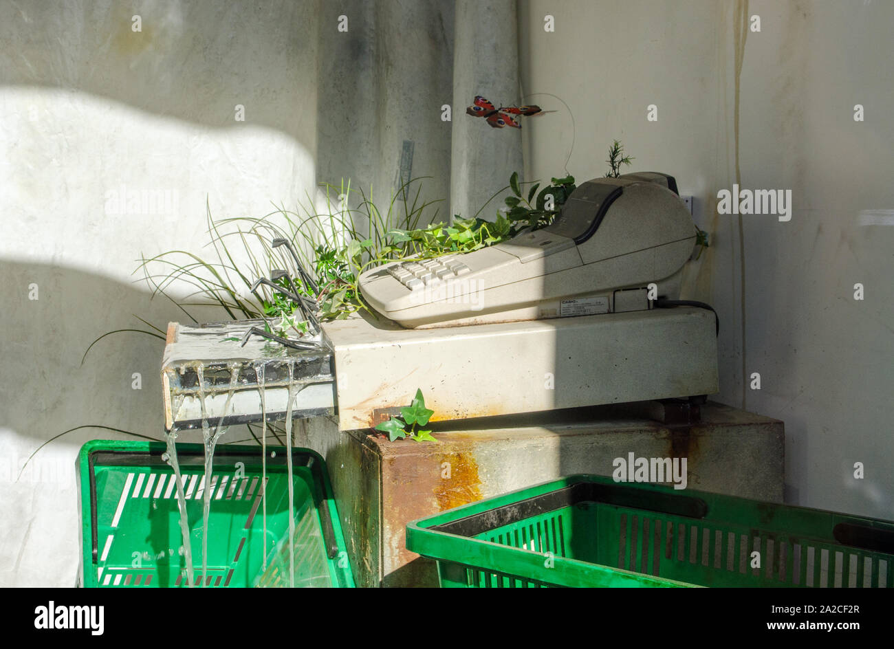 Londres, Royaume-Uni - Octobre 2, 2019 : l'eau qui sortait d'un tiroir-caisse entouré par les plantes et les insectes dans la fenêtre de Banksy's boutique temporaire dans la région de Croydon, Banque D'Images