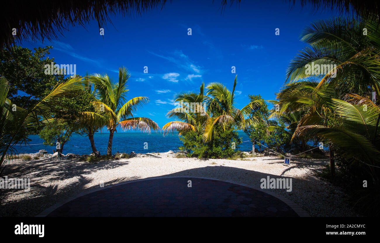 Photo d'une petite baie en Floride avec des palmiers et du sable blanc, ciel bleu par une journée ensoleillée d'octobre Banque D'Images