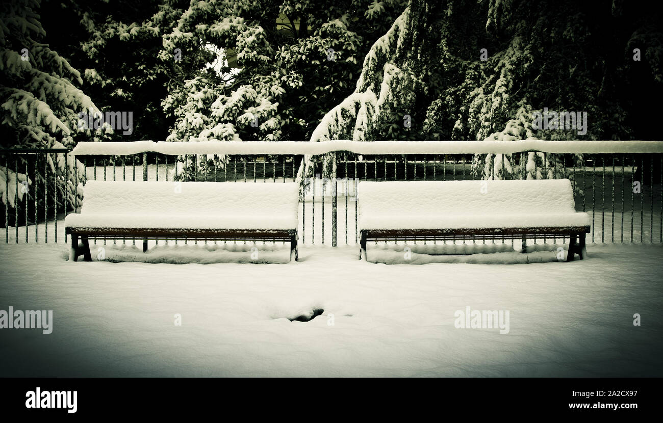 Bancs solitaires après une tempête Banque D'Images