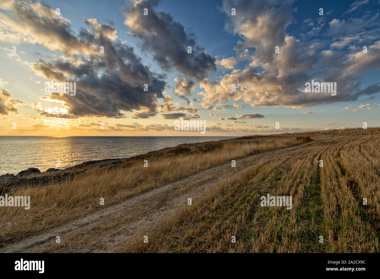 Dans le domaine des routes rurales. Banque D'Images