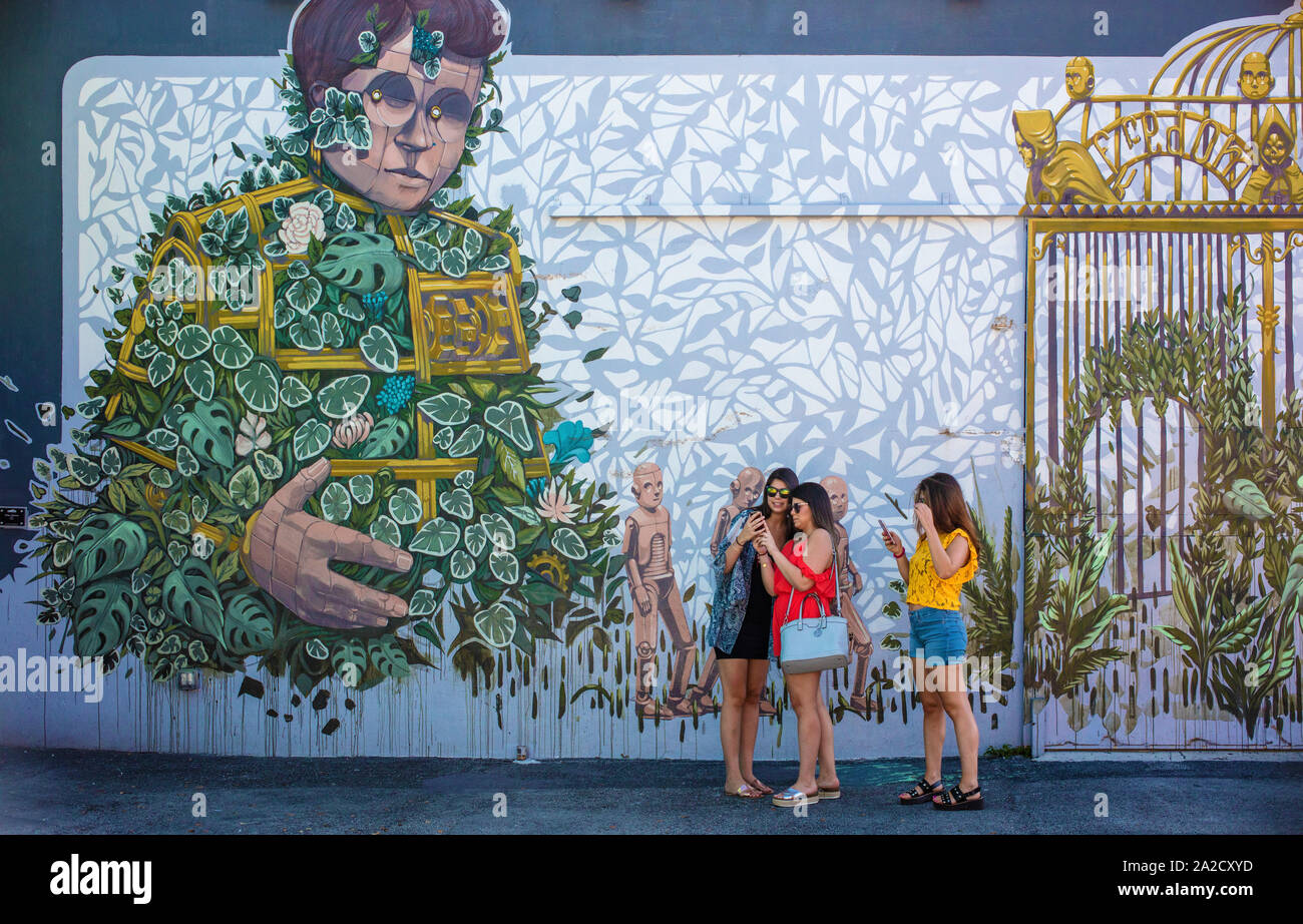 Murs Wynwood, Wynwood, Miami. Espace réservé aux œuvres d'art murales de style graffiti Banque D'Images