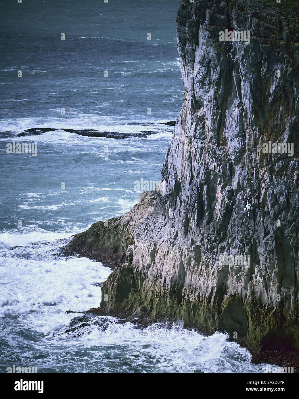 Les grimpeurs ordre croissant les falaises le long de la côte du Pembrokeshire, à proximité de St Govans Castlemartin.au Pays de Galles, Royaume-Uni Banque D'Images