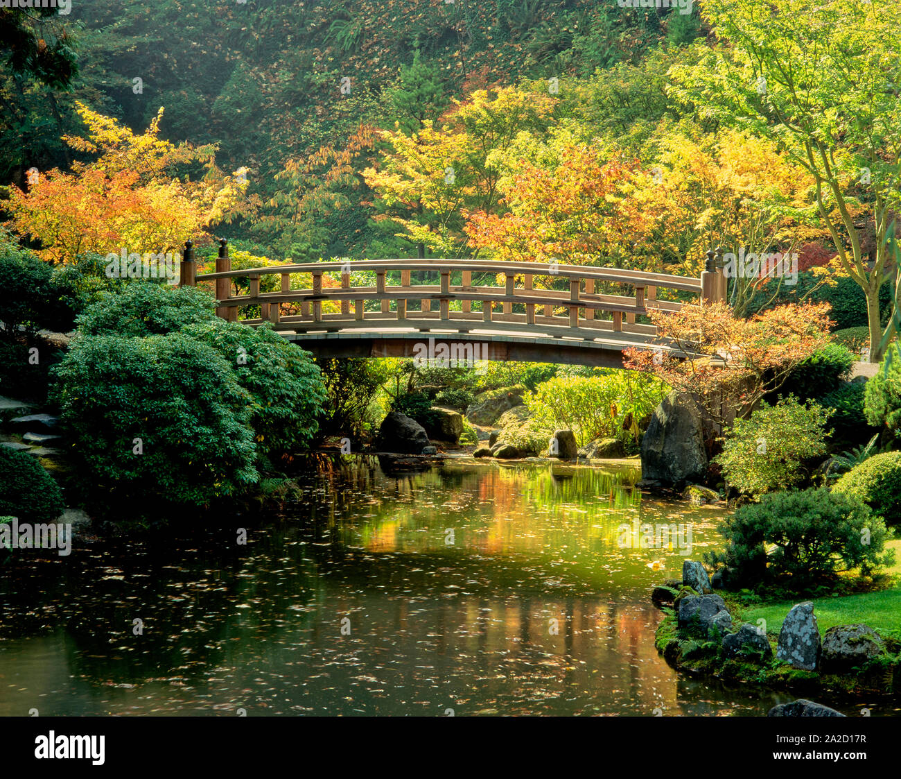 Pont de la lune en automne, un jardin japonais, Portland, Oregon, USA Banque D'Images