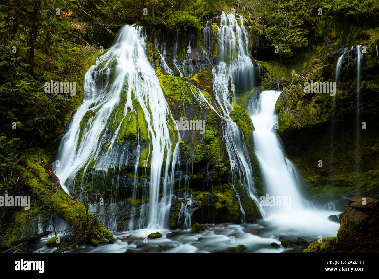 Vue sur Panther Falls, Skamania County, Washington, USA Banque D'Images