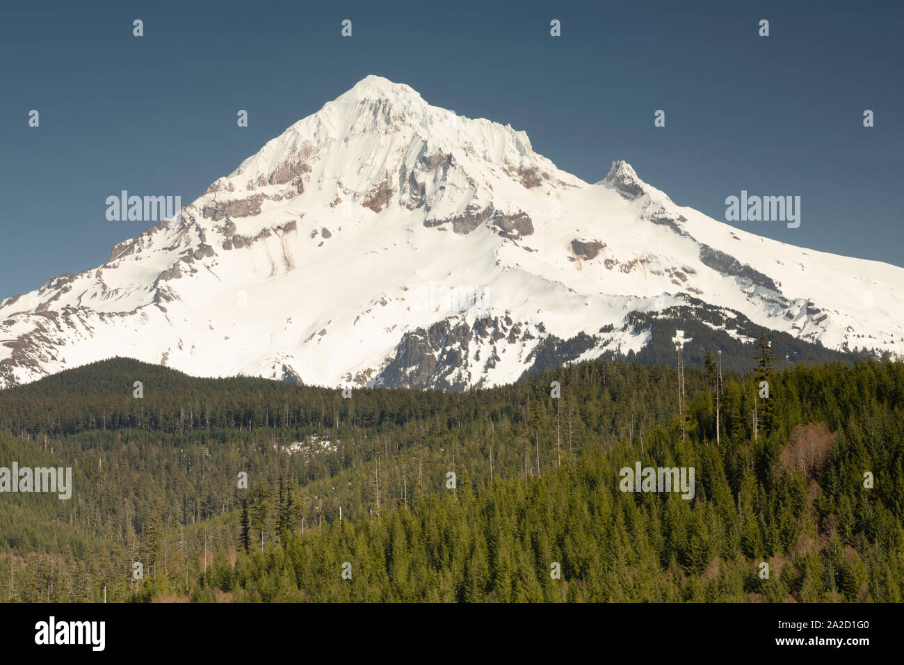 Vue sur le Mont Shasta, le comté de Siskiyou, California, USA Banque D'Images