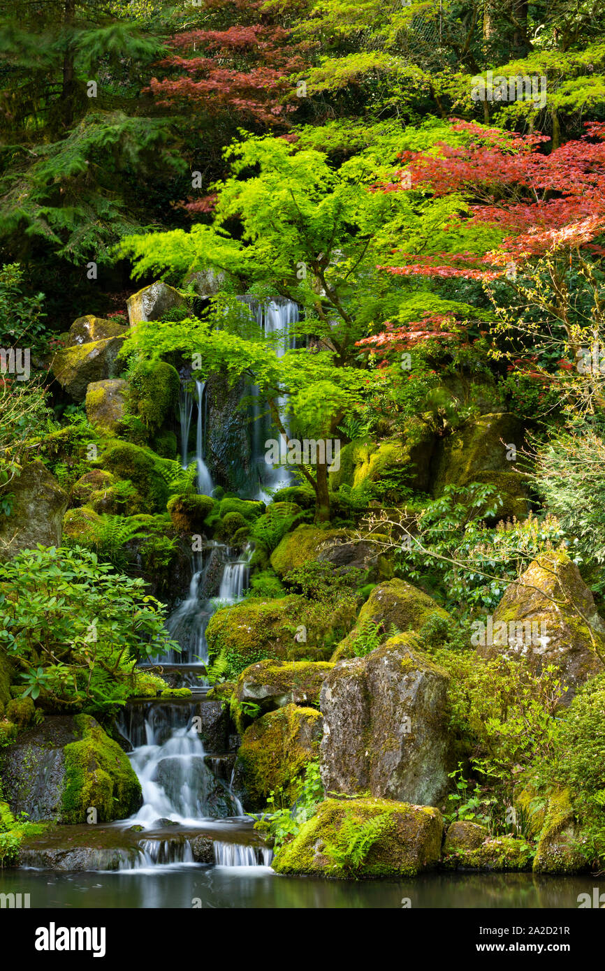 Vue sur les arbres d'automne et le lac avec une cascade au jardin japonais, Portland, Oregon, USA Banque D'Images