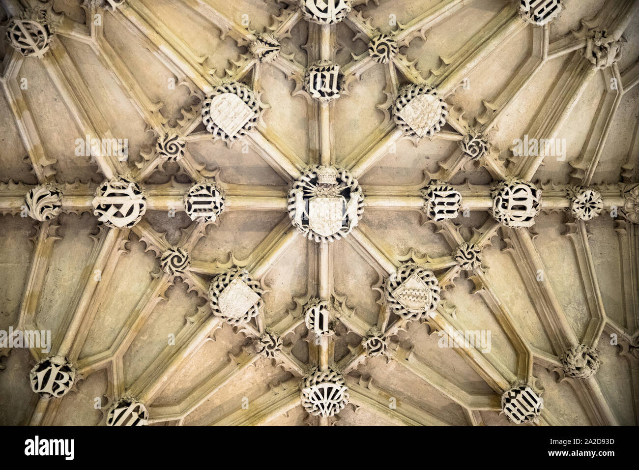 Ceiling of bodleian library Banque de photographies et d’images à haute ...
