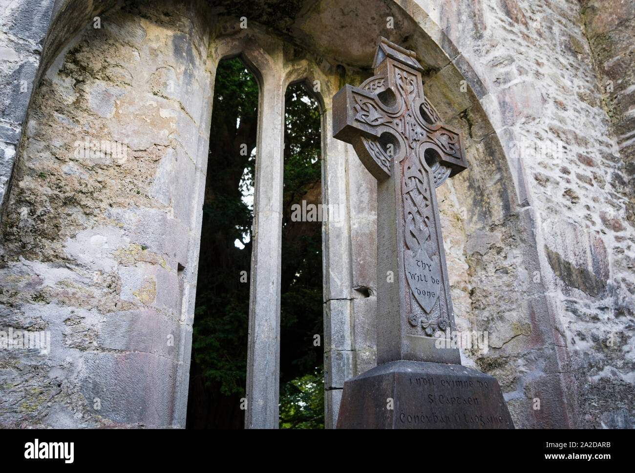 Croix celtique à l'intérieur des ruines de l'abbaye de Mucross à Killarney, Irlande. Banque D'Images