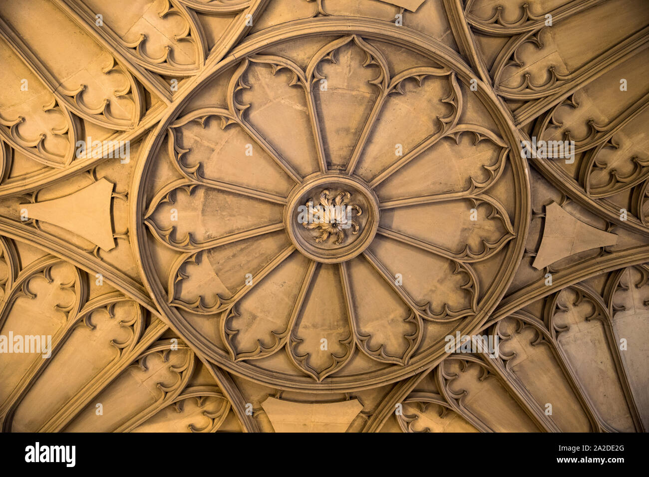 Ceiling of bodleian library Banque de photographies et d’images à haute ...