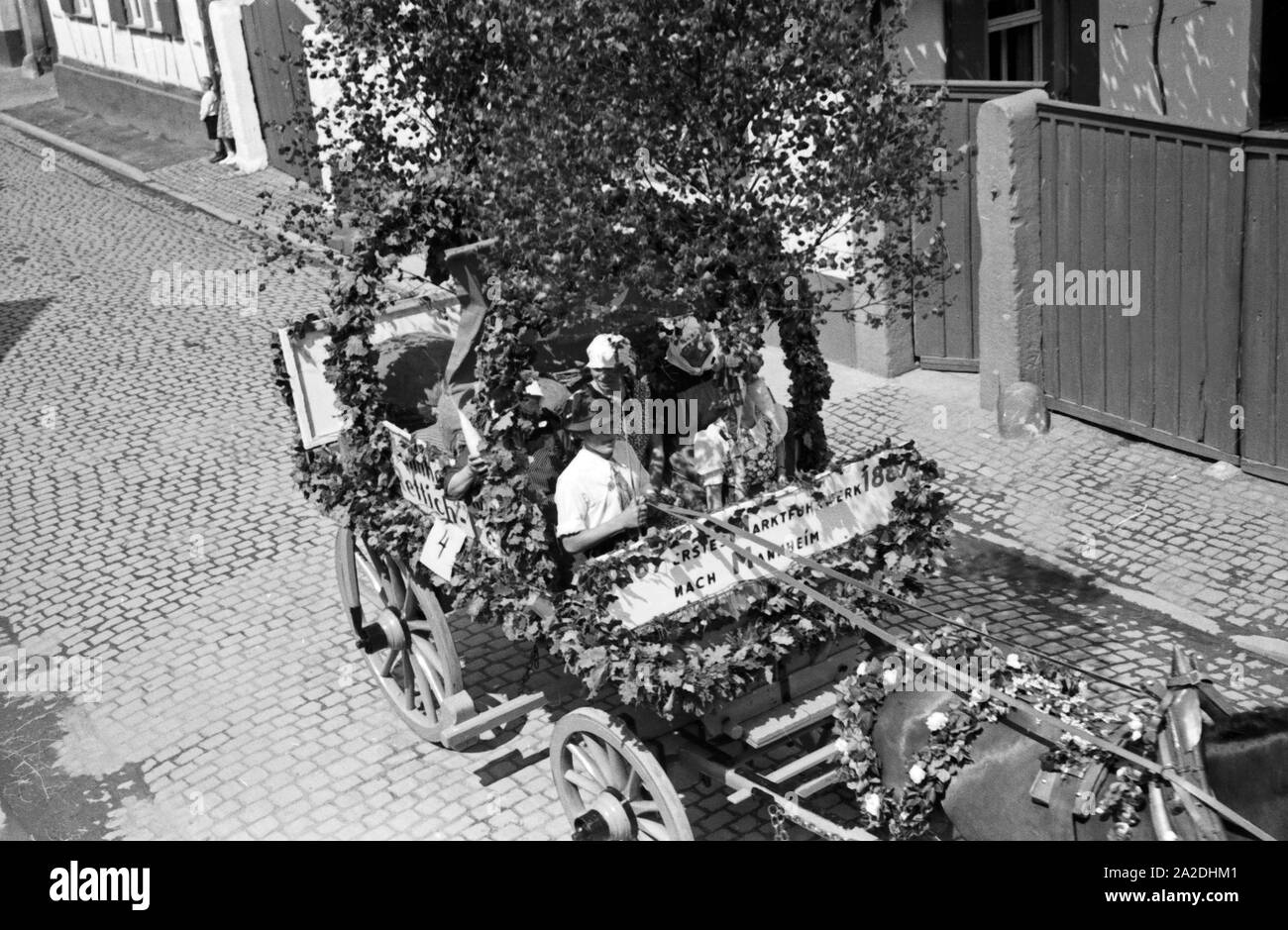 Das erste von Marktfuhrwerk nach Mannheim 1887 Rettichfest im Festzug zum à Schifferstadt, Deutschland, 1930 er Jahre. Premier transport d'offrir au marché de radis à Mannheim de 1887 à la cérémonie du radis annuel juste à Schifferstadt, Allemagne 1930. Banque D'Images