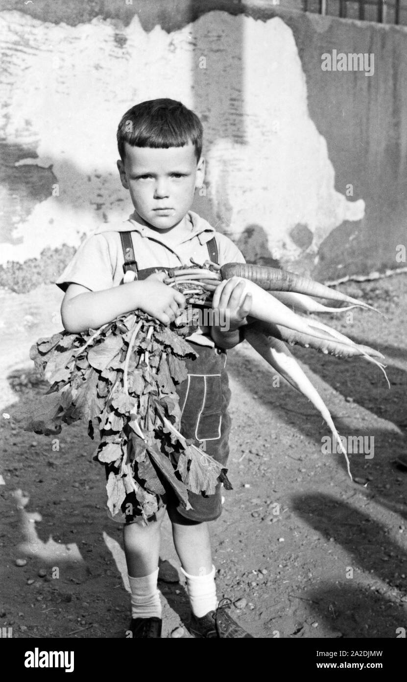 Ein kleiner Junge mit einem Bündel Rettichfest Rettichen haus à Schifferstadt, Deutschland, 1930 er Jahre. Un petit garçon avec un bouquet de radis radis annuel au salon à Schifferstadt, Allemagne 1930. Banque D'Images