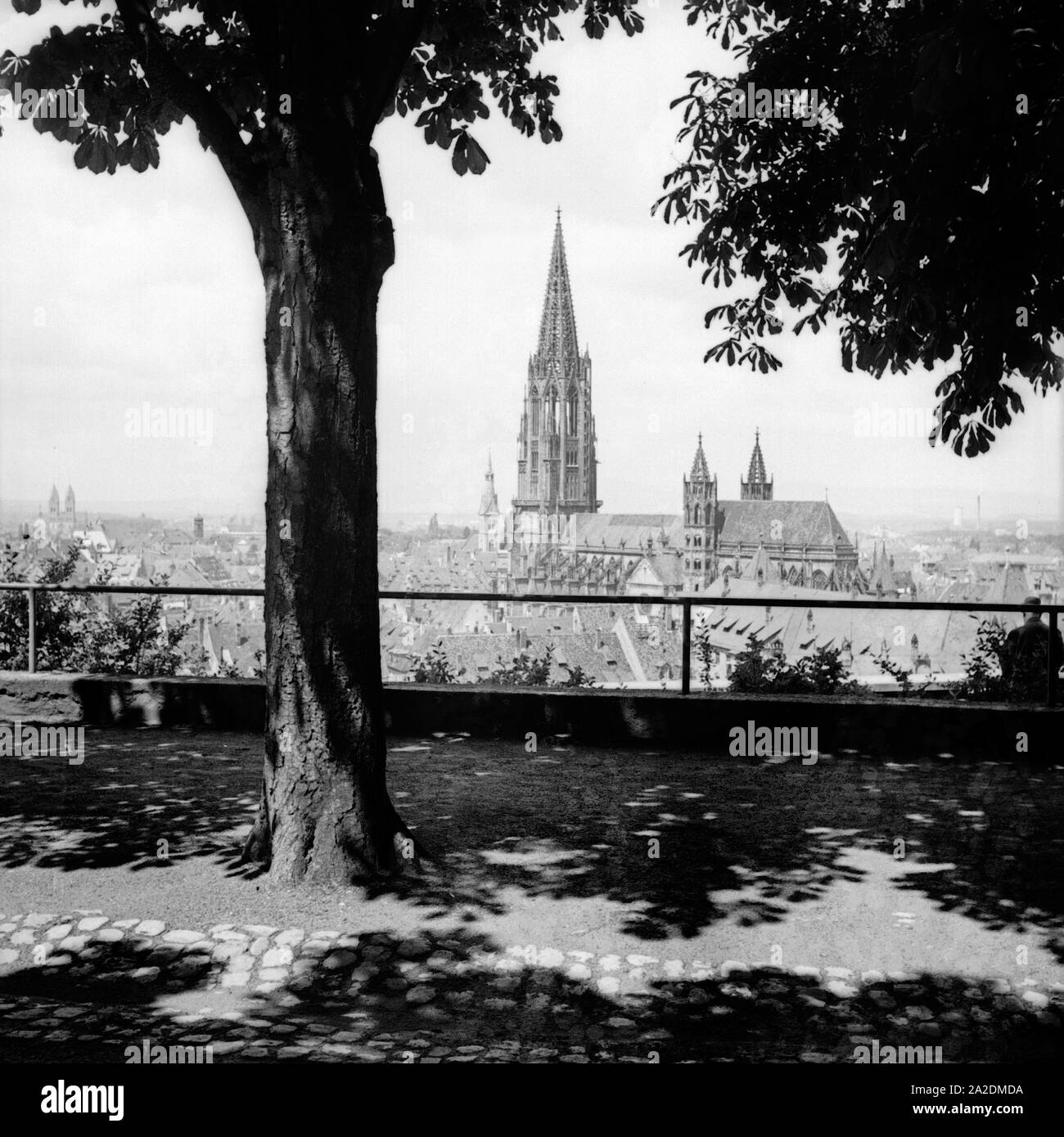 Blick auf einer Anhöhe von Freiburg aus Deutschland, 1930er Jahre. Vue d'une colline de Freiburg, Allemagne 1930. Banque D'Images
