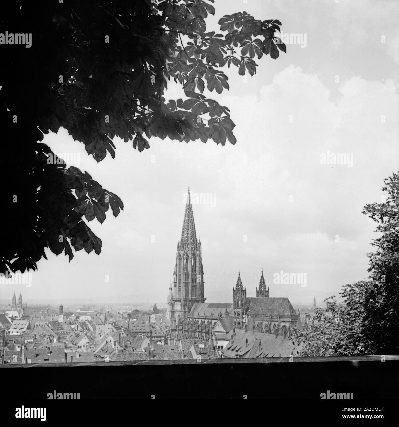 Blick auf einer Anhöhe von Freiburg aus Deutschland, 1930er Jahre. Vue d'une colline de Freiburg, Allemagne 1930. Banque D'Images