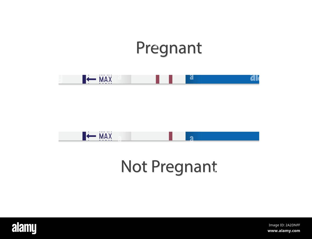 Les bandelettes de test de grossesse. Option négative et positive. Pour les femmes enceintes. Vector Illustration Illustration de Vecteur