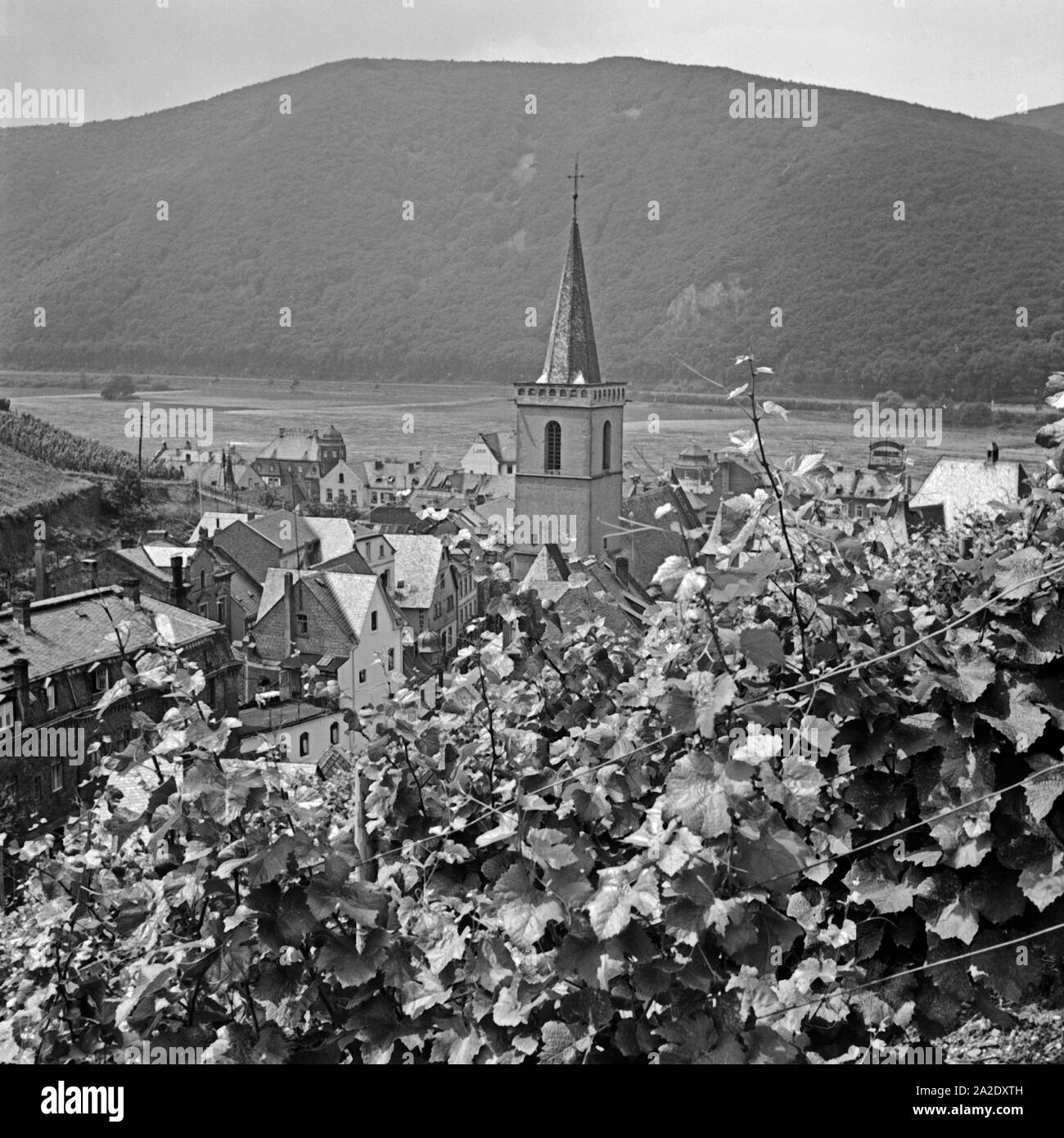 Die Pfarrkirche Heilig Kreuz dans Assmannshausen, Deutschland 1930er Jahre. L'église Sainte Croix à Assmannshausen, Allemagne 1930. Banque D'Images