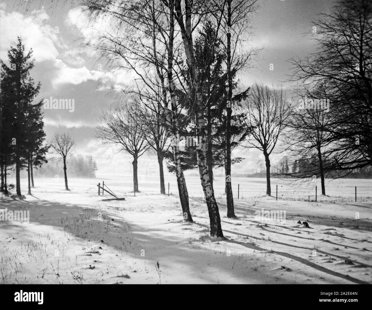 Schneesturm im Winter dans Ostpreußen, 1930er Jahre. Blizzard en hiver dans l'Est de la Prusse, 1930. Banque D'Images