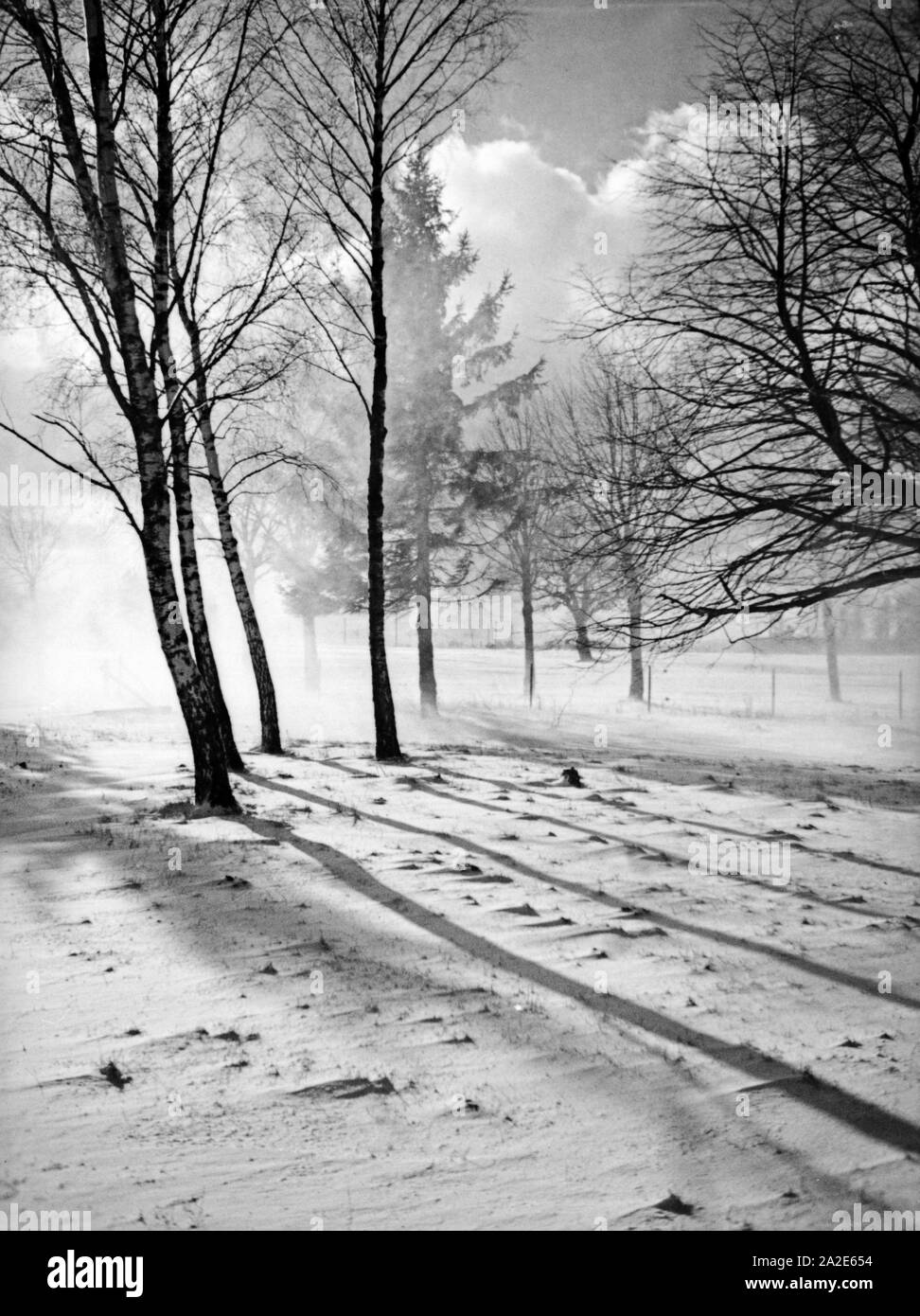 Schneesturm im Winter dans Ostpreußen, 1930er Jahre. Blizzard en hiver dans l'Est de la Prusse, 1930. Banque D'Images