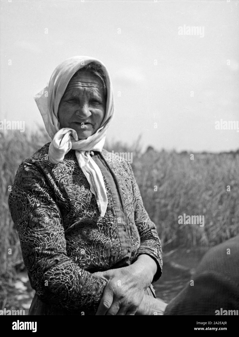 Porträt einer alten Frau aus Masuren, Ostpreußen, années 30 er Jahre. Portrait d'une vieille femme de la Mazurie, Prusse orientale, 1930. Banque D'Images