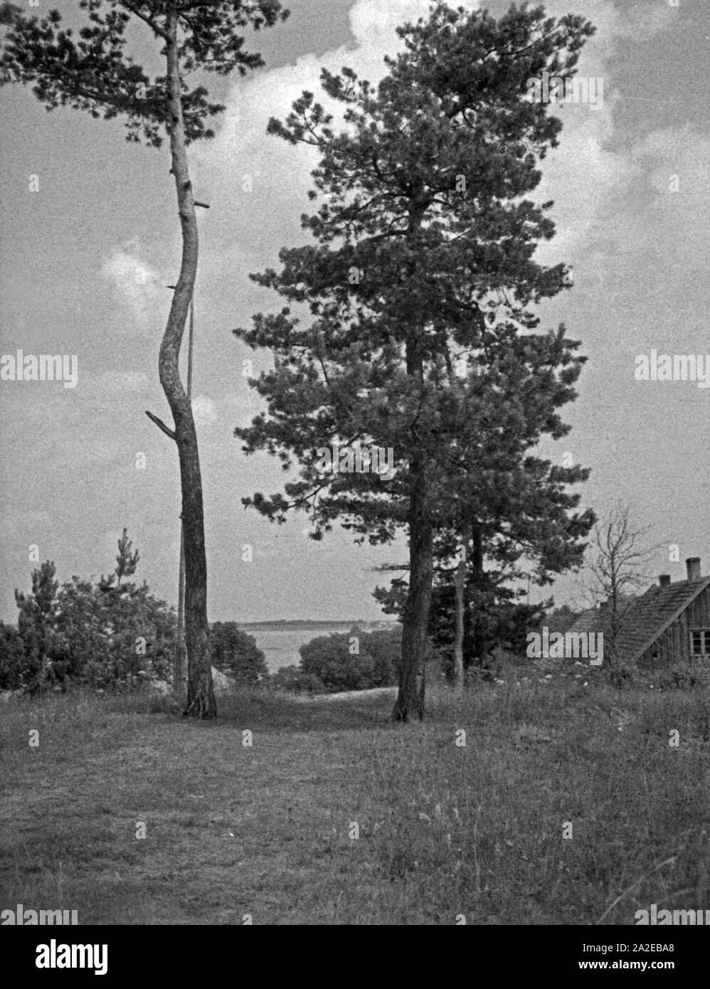 Spirdingblick Spirdingsee in suis en masure, Ostpreußen, 1930er Jahre. Près de Spirdingsee lake en Mazurie, la Prusse orientale, 1930. Banque D'Images