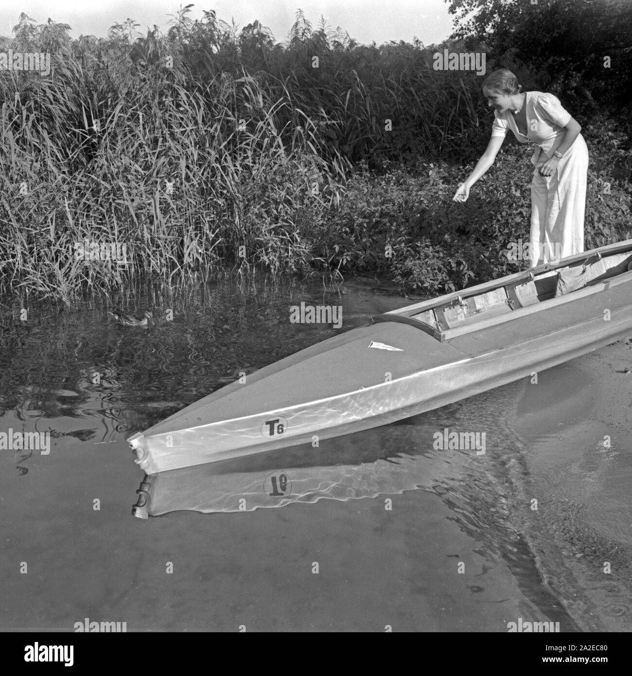 Eine junge Frau füttert eine Ente Am Ufer mit einem neben voit Klepper Faltboot Typ T6, 1930er Jahre Deutschland. Une jeune femme se nourrir un canard sur un lac, à côté d'un bateau pliant Klepper, Allemagne 1930. Banque D'Images