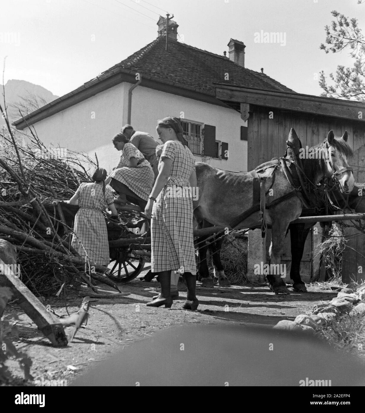 Frauen helfen auf einem Bauernhof im Rahmen des Frauenarbeitsdienstes dans Hohenaschau im Chiemgau, Deutschland 1930er Jahre. Aider les femmes à une ferme à Hohenaschau, Allemagne 1930. Banque D'Images