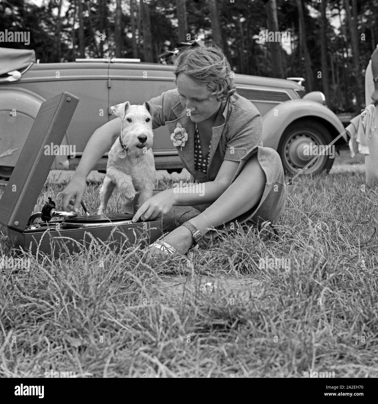 Dog And Gramophone Banque du0027image et photos - Alamy