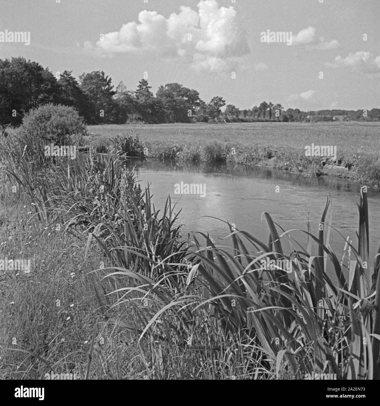 Blick auf den Fluß Örtze dans der Lüneburger Heide, Deutschland 1930 er Jahre. Vue de river Oertze à Lunebourg Heath, Allemagne 1930. Banque D'Images