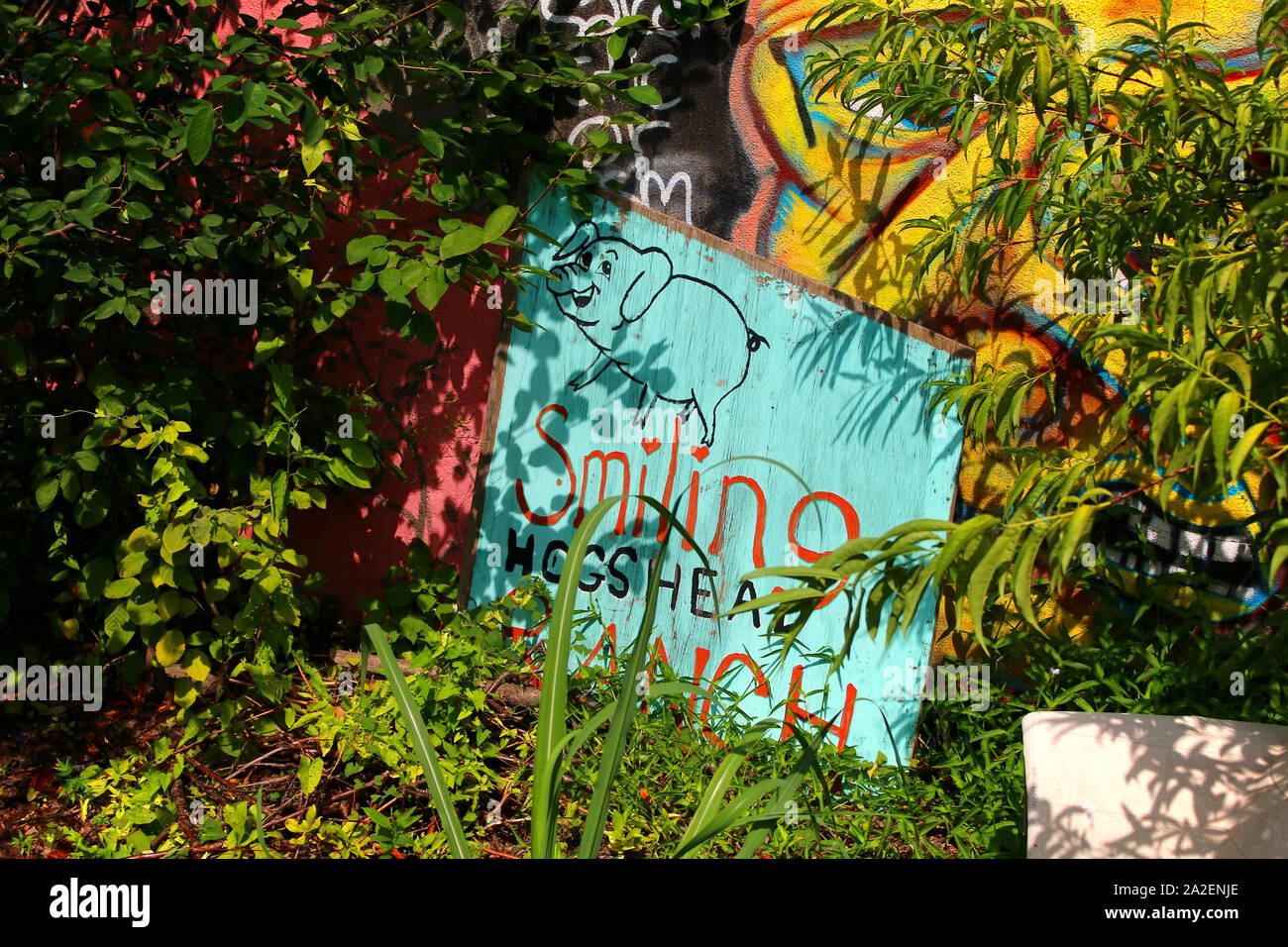 Smiling Hoghshead Ranch est une agriculture ferme et jardin communautaire situé à Long Island City sur un ensemble de voies de chemin de fer abandonnées, qui ont été une fois Banque D'Images Smiling Hoghshead Ranch est une agriculture ferme et jardin communautaire situé à Long Island City sur un ensemble de voies de chemin de fer abandonnées, qui ont été une fois Banque D'Images