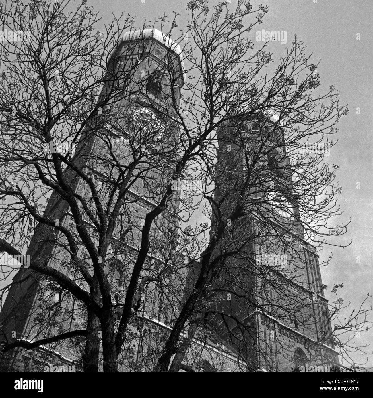 Die beiden Türme der Frauenkirche à München durch eine Baumkrone gesehen, Deutschland 1930 er Jahre. Les beffrois de Munich de l'église Frauenkirche, vu à travers un parcours dans les années 1930, en Allemagne. Banque D'Images